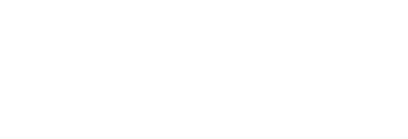 AudiaFlight Logo